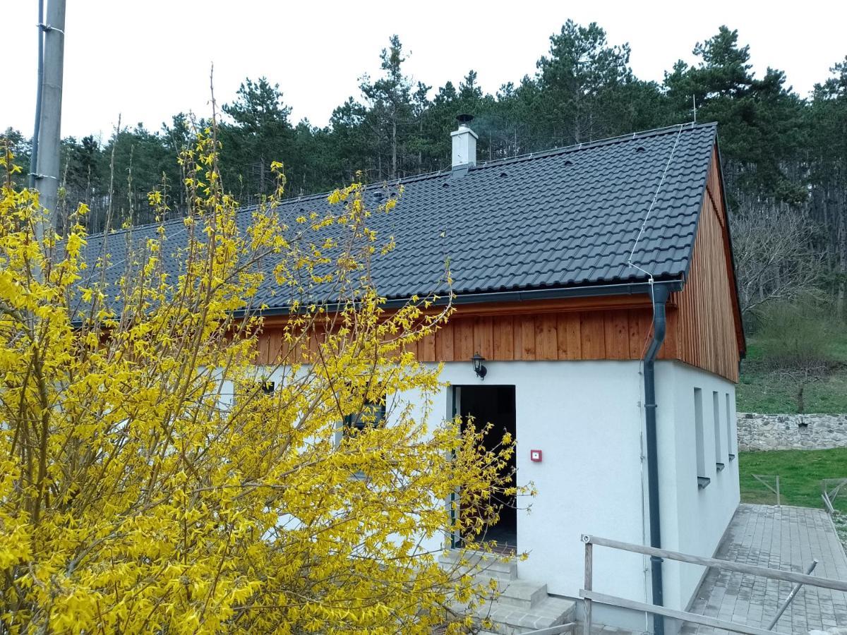 Penzion Litohlavy 17 - Na Samote U Lesa Kraluv Dvur Luaran gambar