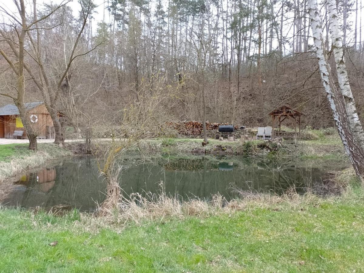 Penzion Litohlavy 17 - Na Samote U Lesa Kraluv Dvur Luaran gambar
