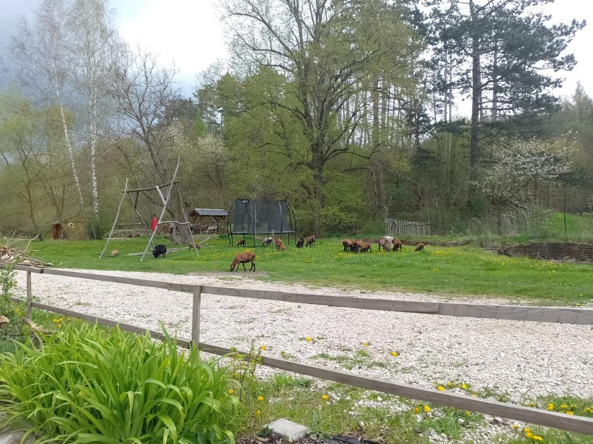 Penzion Litohlavy 17 - Na Samote U Lesa Kraluv Dvur Luaran gambar