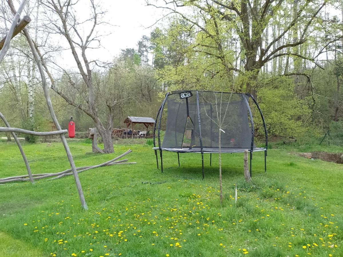 Penzion Litohlavy 17 - Na Samote U Lesa Kraluv Dvur Luaran gambar